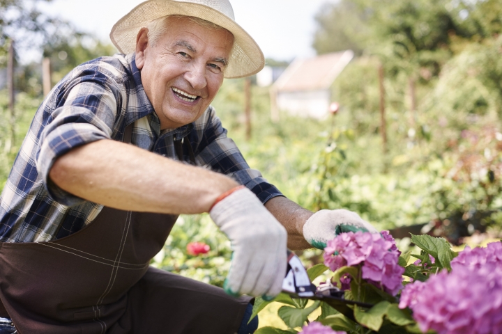 old man gardening man gardening
