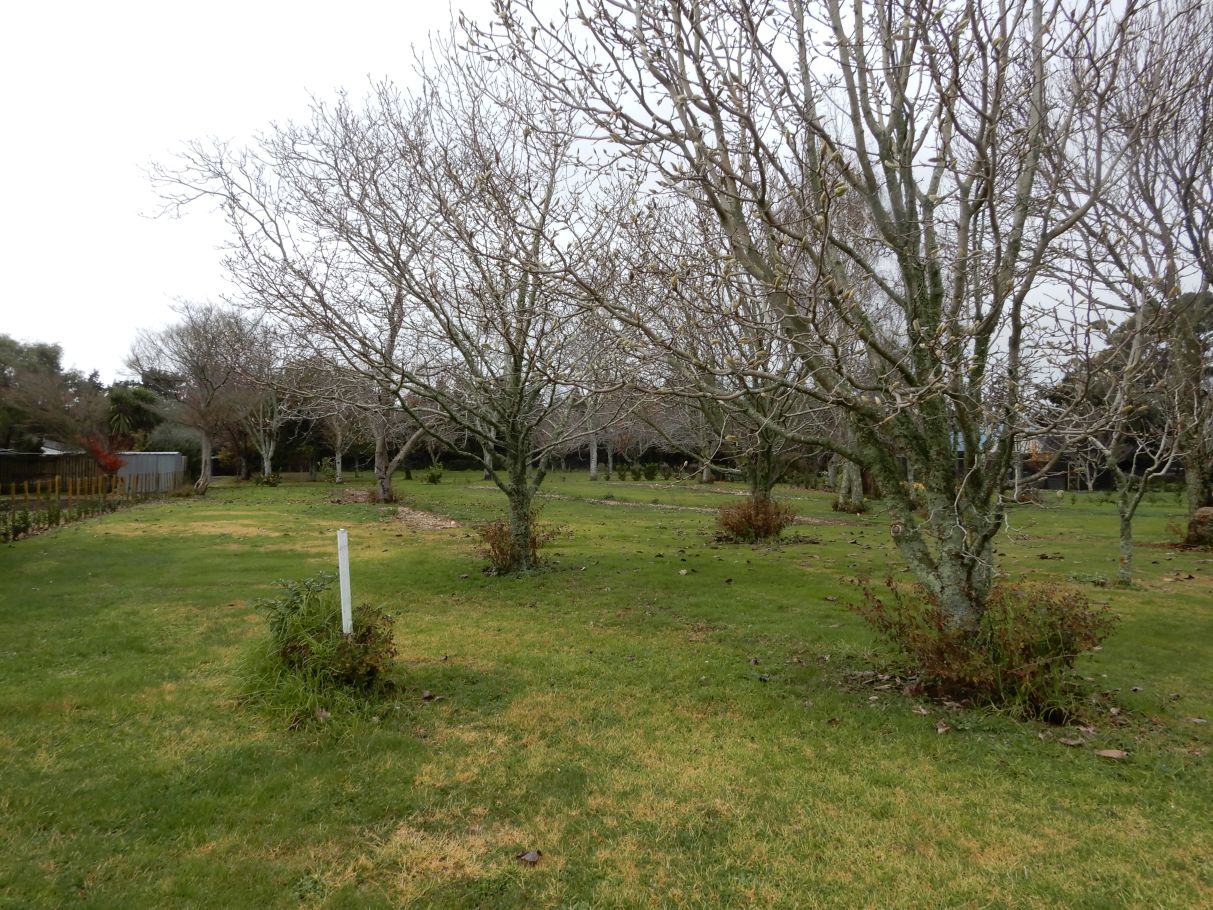 Potential site for Abbeyfield house in Katikati